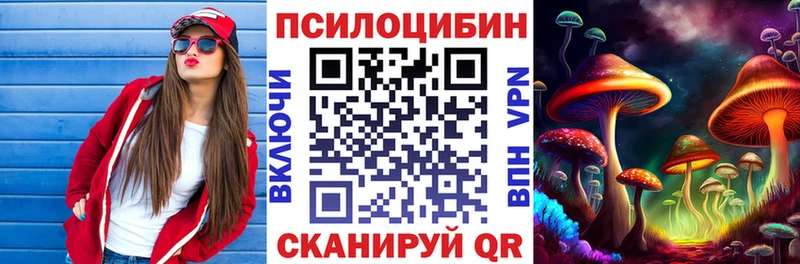 Псилоцибиновые грибы Cubensis  Купить закладки  Волгоград 